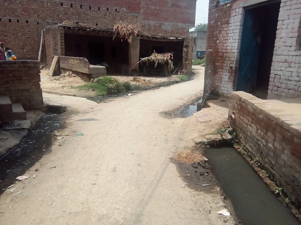 Village Road Outside Somvati house
