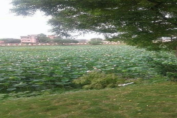 Dasna