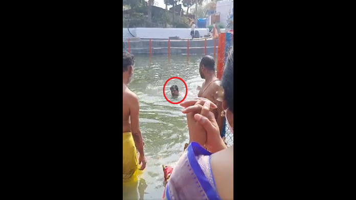 temple EO swim