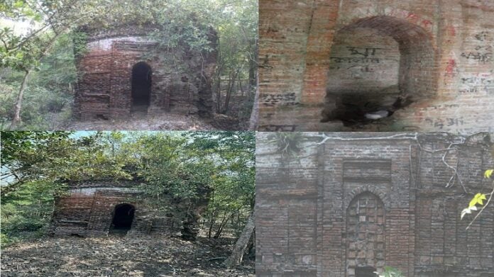 (Image Source : Twitter)