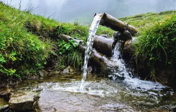 A natural groundwater spring flowing from pipes in a lush green landscape.