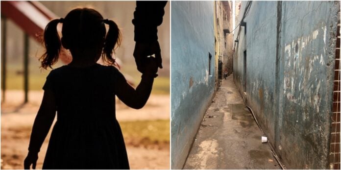Young girl with pigtails holding an adult's hand outdoors, symbolizing innocence and safety.
