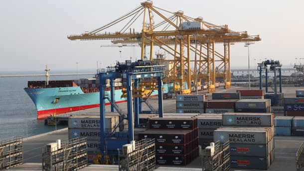 Port cargo ships and containers at a busy harbor, emphasizing maritime trade and logistics.