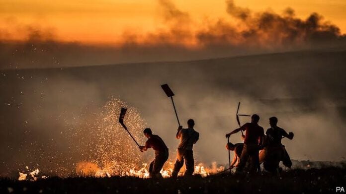 People fighting wildfires with tools during sunset, climate crisis and conflict.