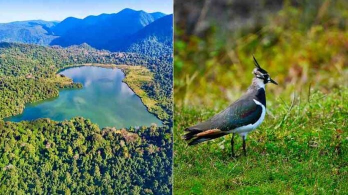 Scenic view of Guwahati Lake surrounded by lush green mountains and forest.